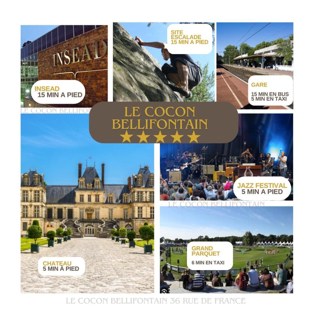 Le Cocon De Fontainebleau - Centre-Ville, Proche Insead & Chateau Zewnętrze zdjęcie
