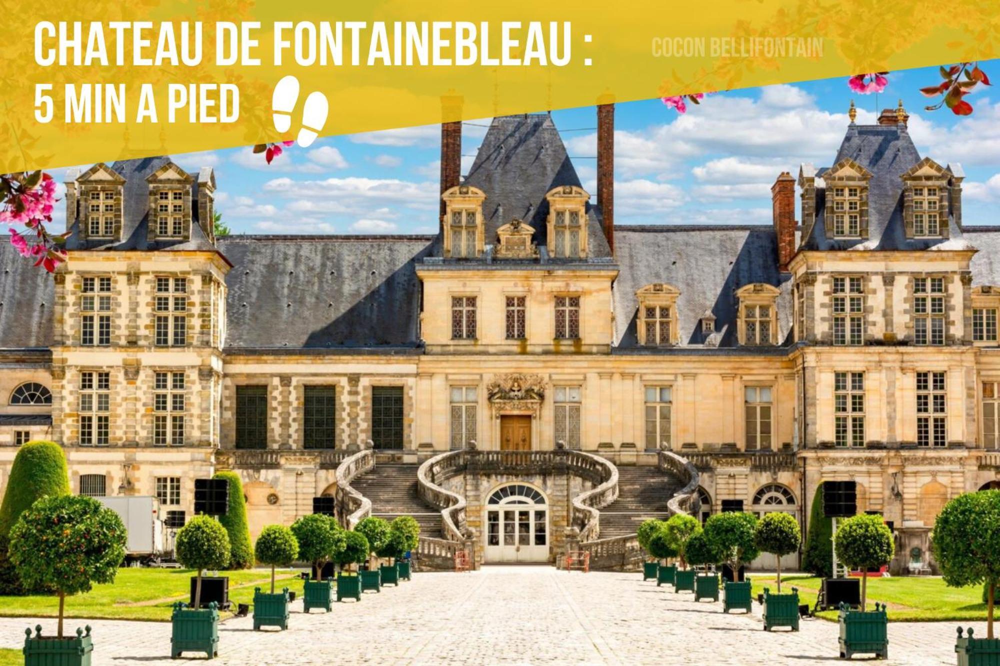 Le Cocon Royal De Fontainebleau - Centre-Ville #Insead #Chateau Zewnętrze zdjęcie
